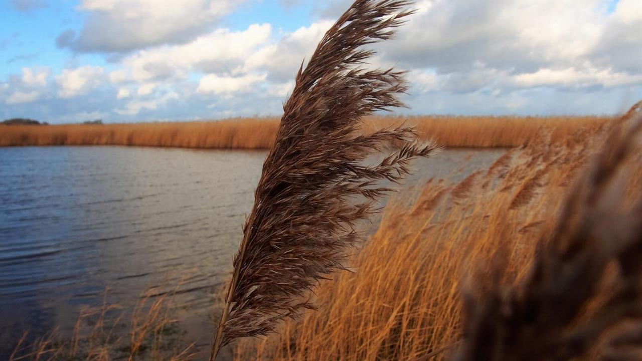 Emilias Hues, Reethaus In Der Bucht Von Wismar Циров Екстер'єр фото