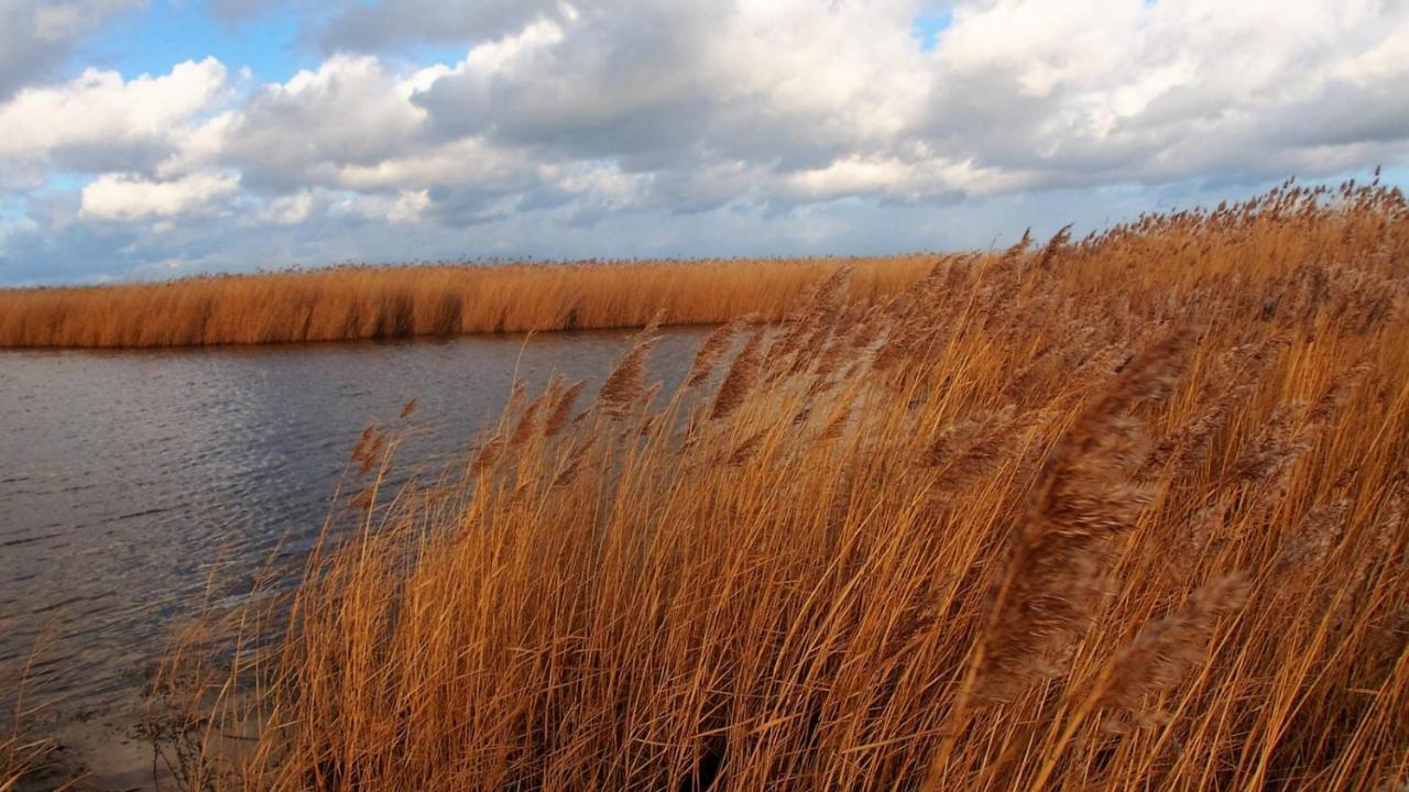 Emilias Hues, Reethaus In Der Bucht Von Wismar Циров Екстер'єр фото